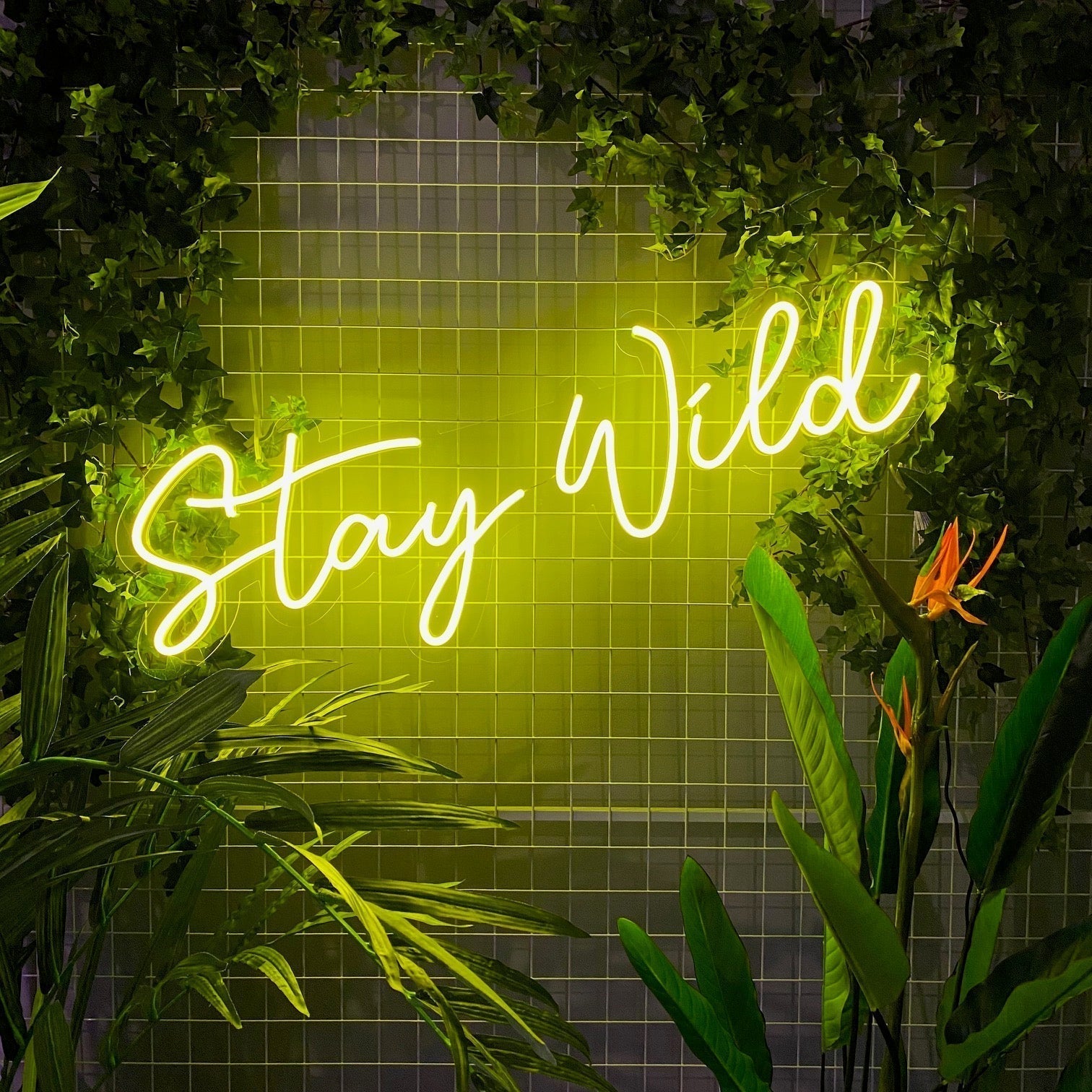 "Stay Wild" LED NEONSKILT.
