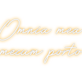 Custom Neon: Omnia mea
mec...